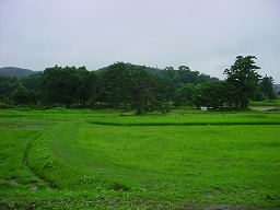 無量光院跡