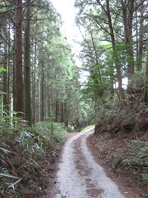 小辺路