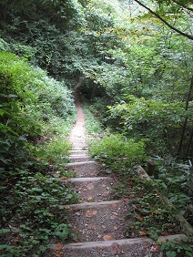 高野山町石道