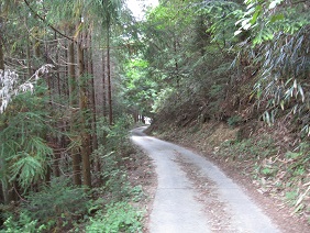 小辺路