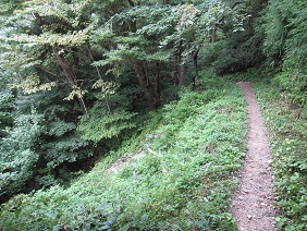 高野山町石道